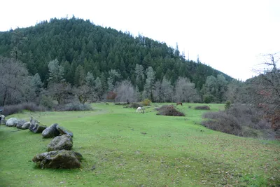 DSC_0951 (Large).JPG